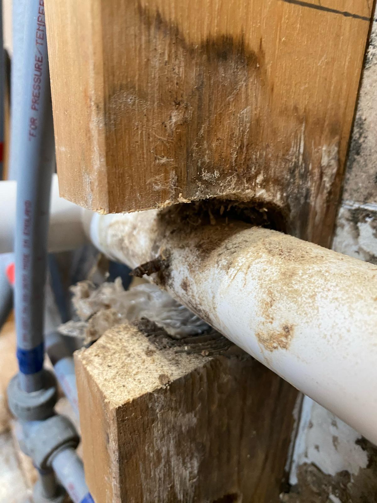 Timber and pipe detail during preparation